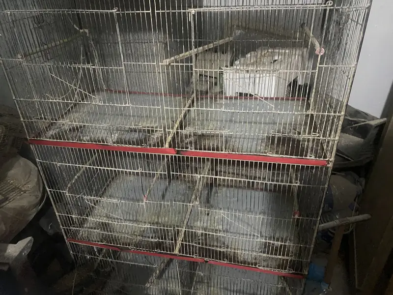8 portion cage in very good condition — photo 6