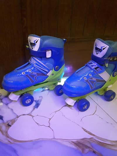 Skating Shoes High-Quality (Imported