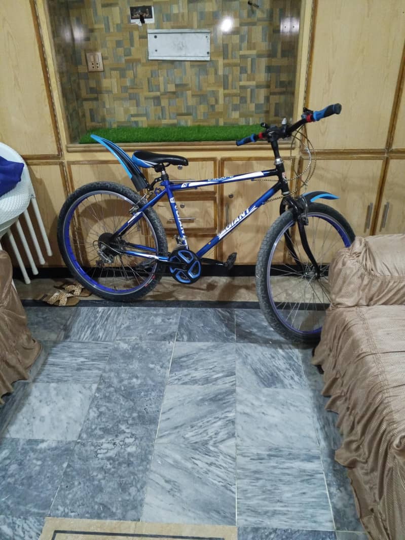 Bicycles 1