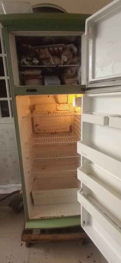 philips  fridge green colour