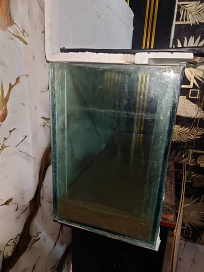 fish aquarium