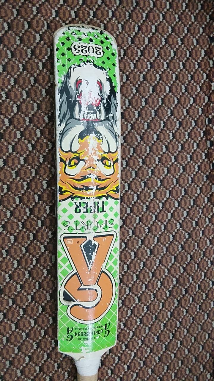 cricket bat 1