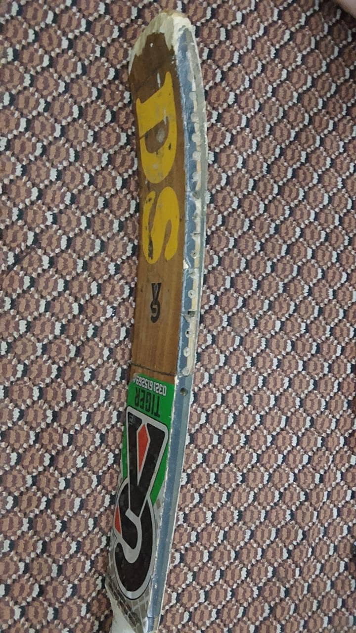 cricket bat 2