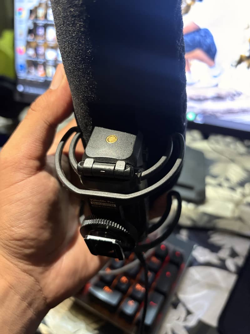 Rode Pro+ vlogging mic 2