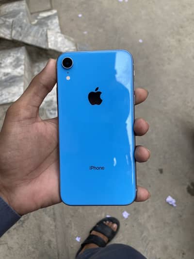 iPhone XR