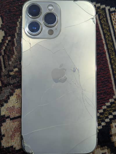 Apple iPhone 13 Pro Max