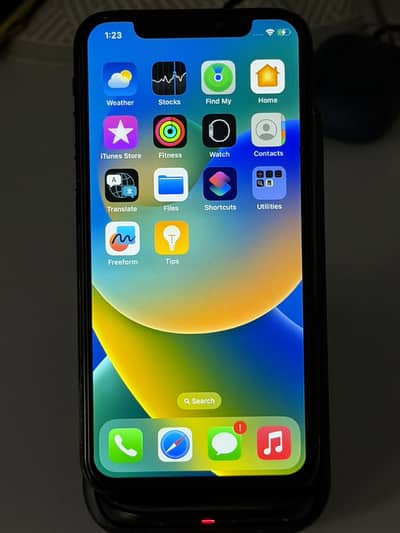 Apple iPhone X