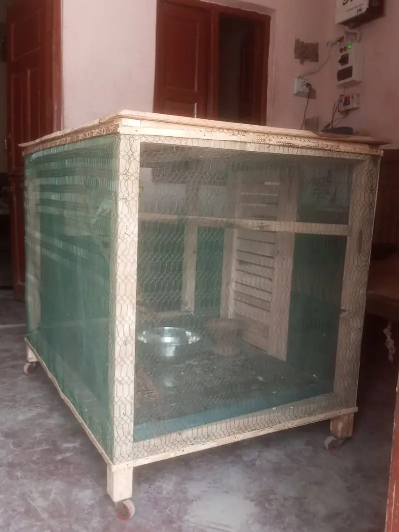 Parrots cage for sell big size — photo 4