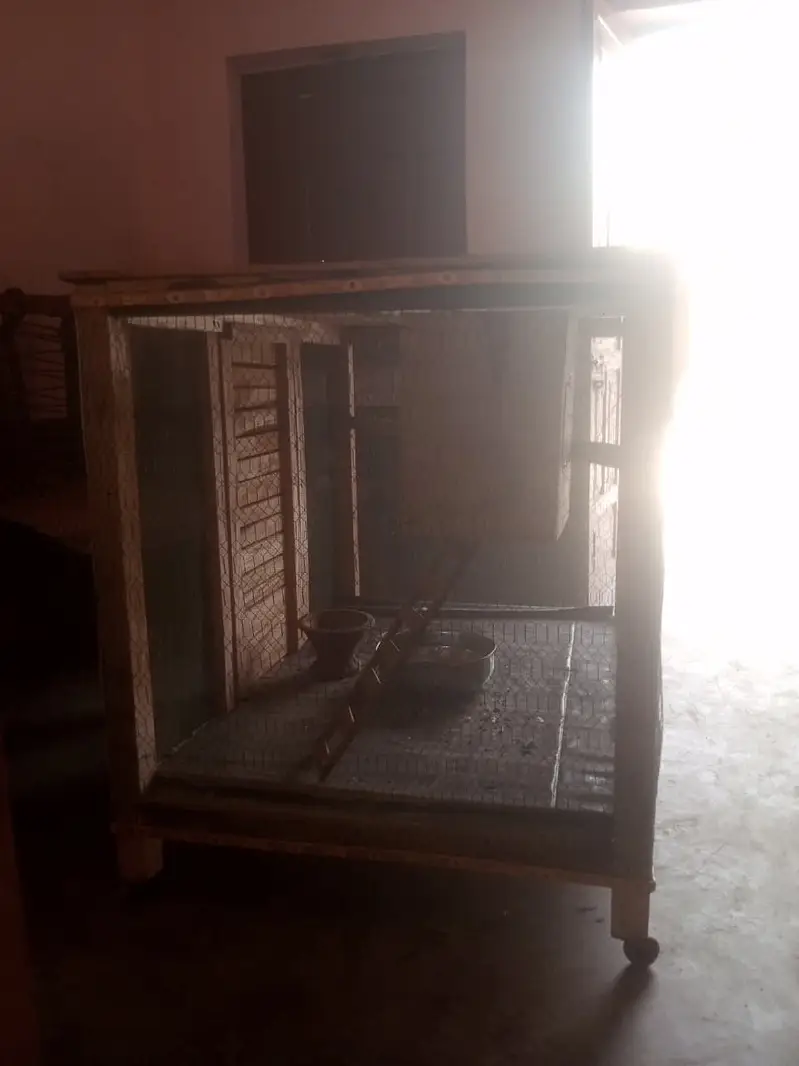 Parrots cage for sell big size — photo 5