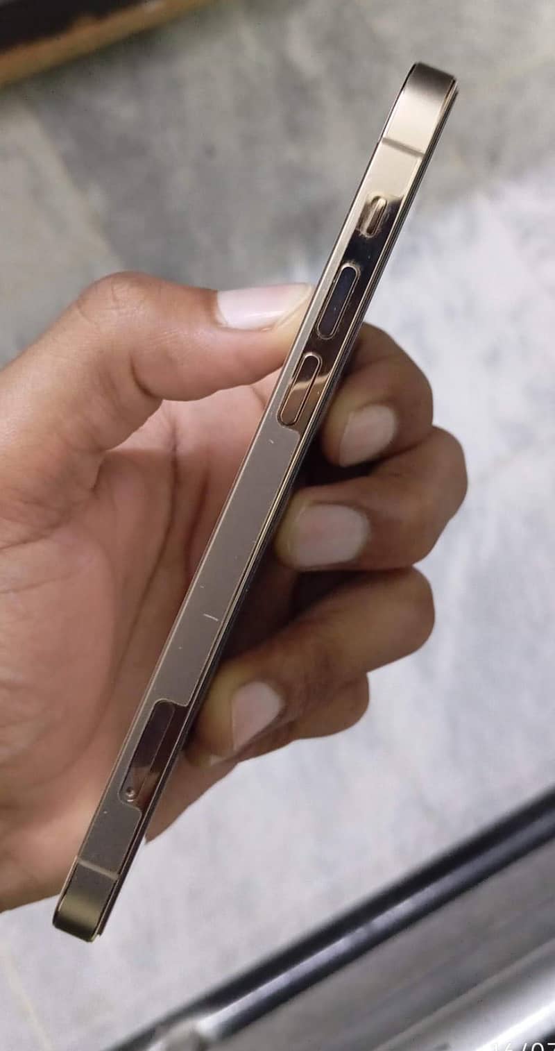 Apple iPhone 12 Pro 1
