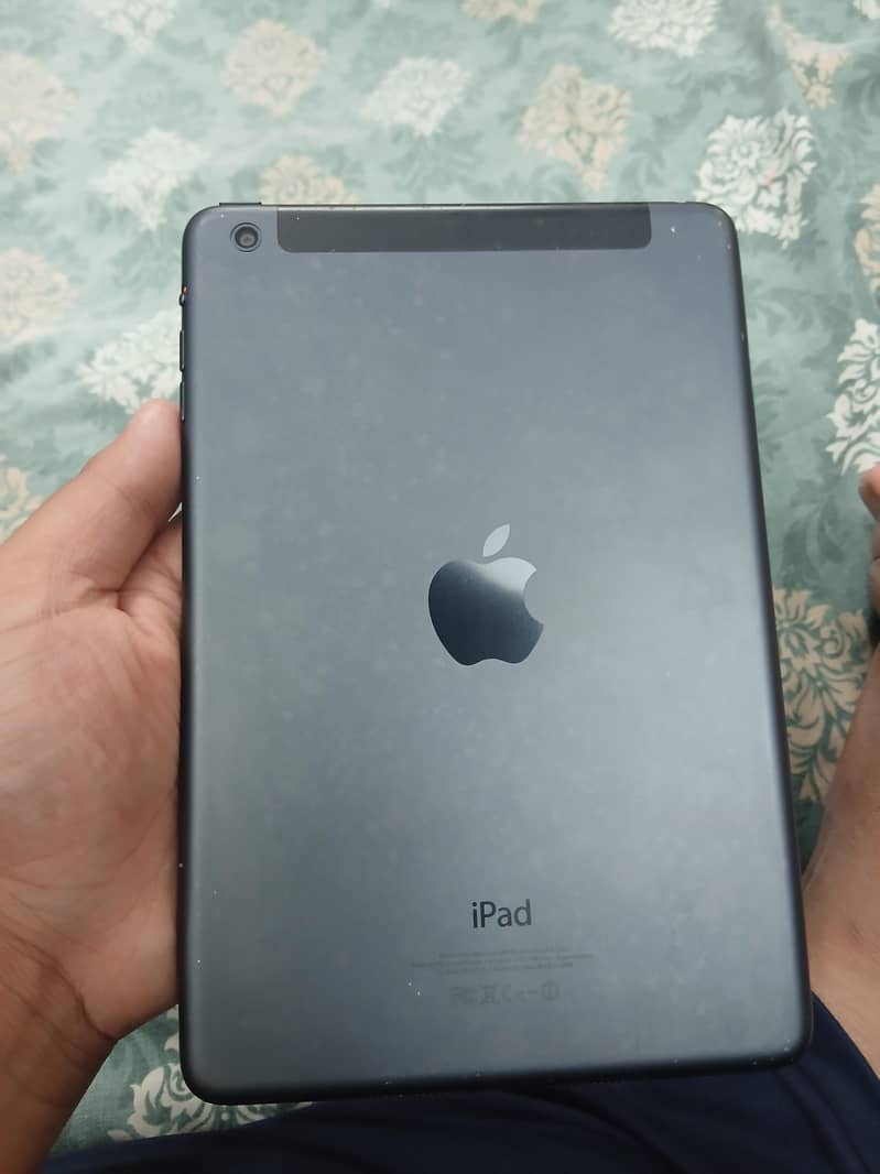 Apple Ipad 2 mini 0