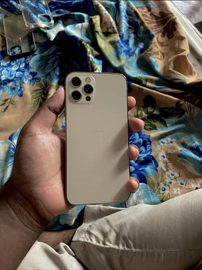 I phone 12 pro sim working