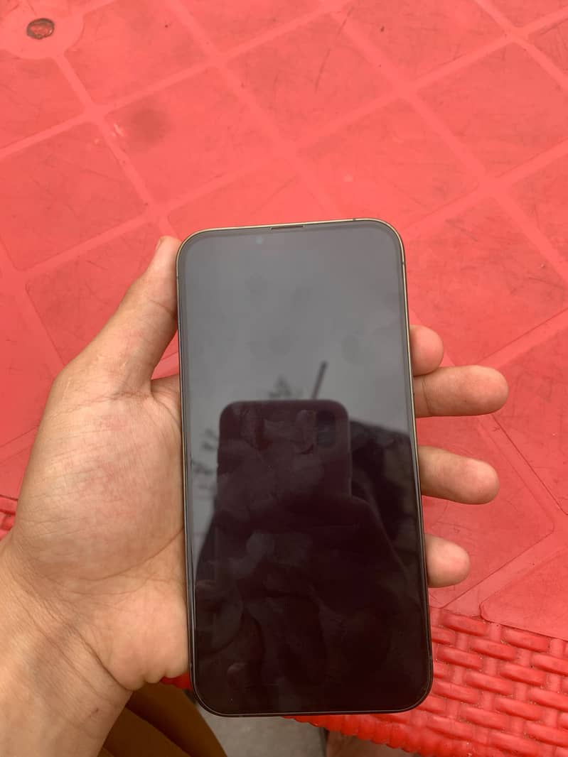 iPhone 13 Pro Max 1