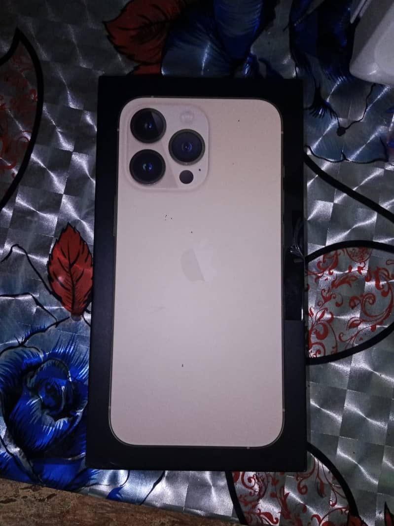Apple iPhone 13 Pro 1