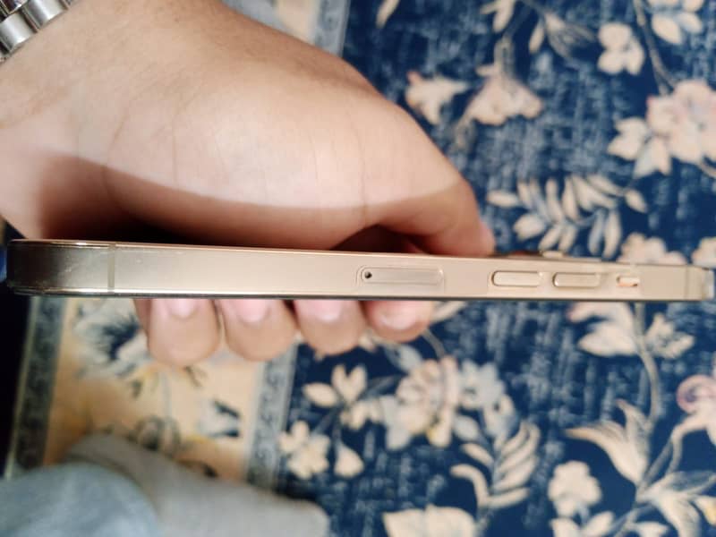 Apple iPhone 13 Pro 2