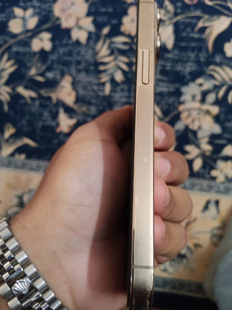 Apple iPhone 13 Pro 4