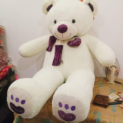 Premium Quality Teddy Bear. Cuddly Teddy Bear big and small size