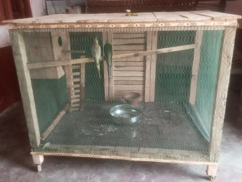 Parrots cage for sell big size — photo 6