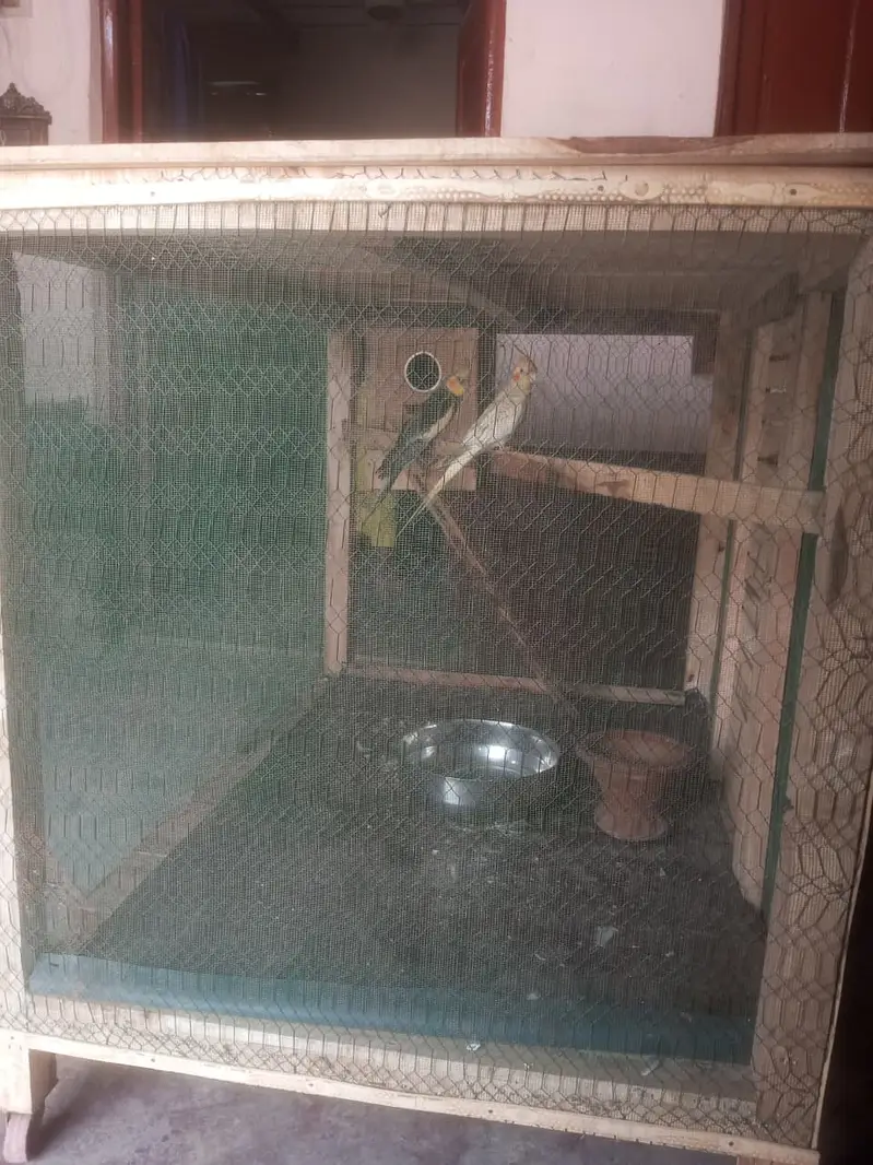 Parrots cage for sell big size — photo 7