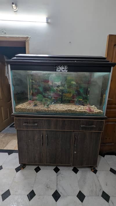 4*2*2 Foot 12mm Premium Aquarium with Almari For Sale