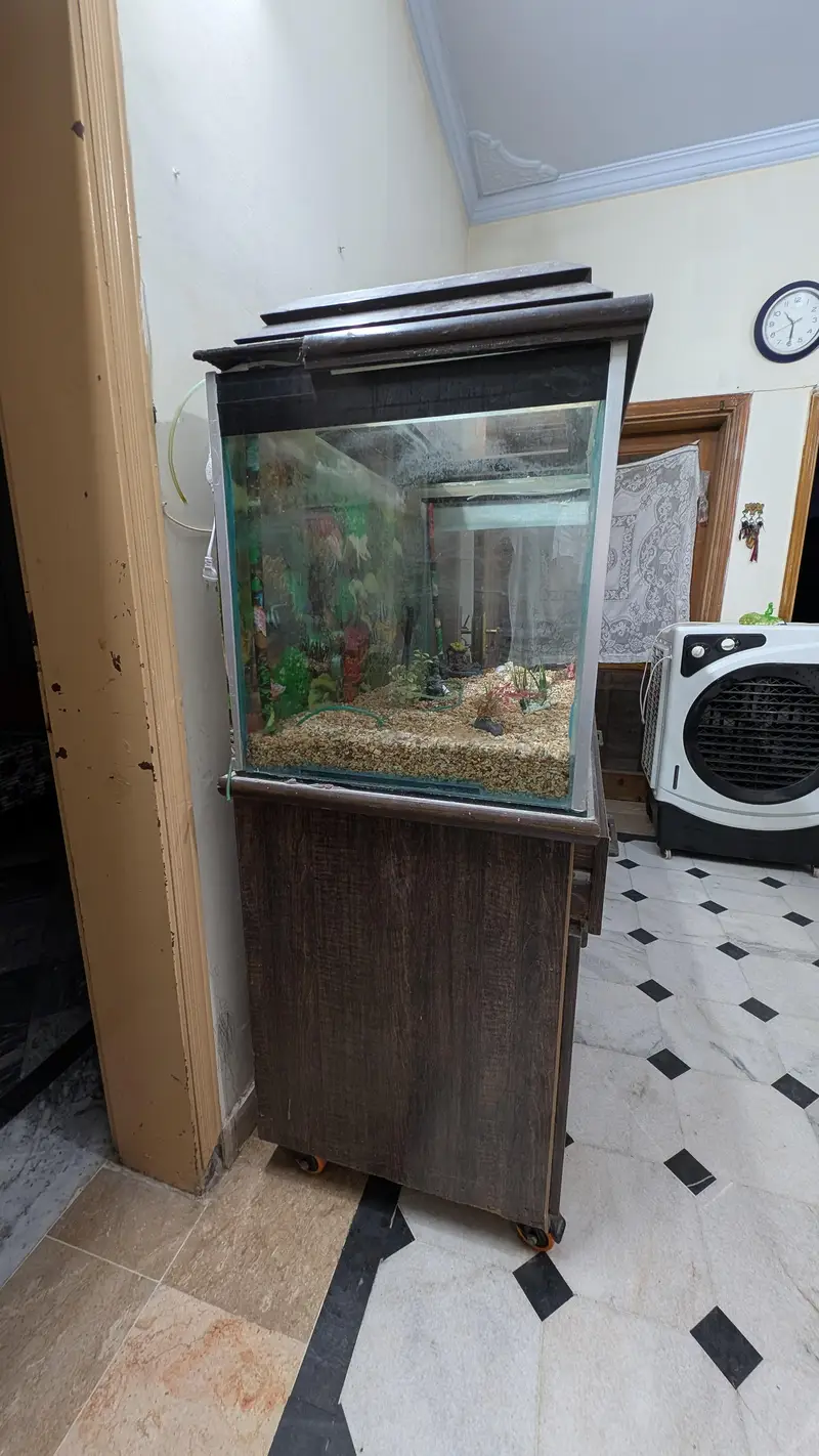 4*2*2 Foot 12mm Premium Aquarium with Almari For Sale — photo 2