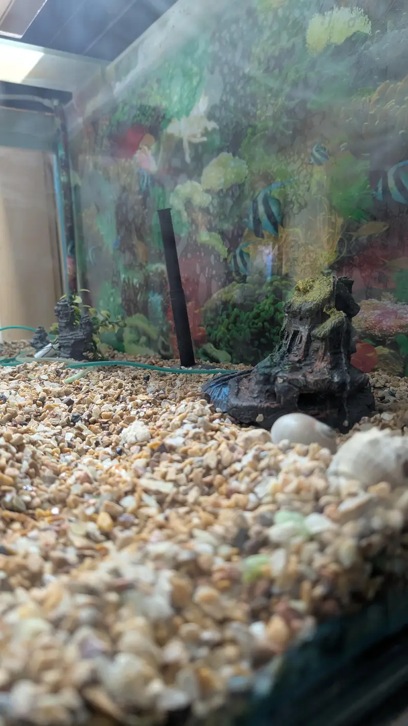4*2*2 Foot 12mm Premium Aquarium with Almari For Sale — photo 3