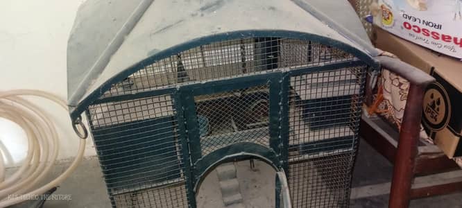 bara pinjra cage