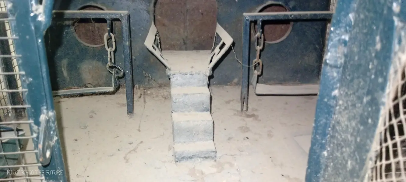 bara pinjra cage — photo 2