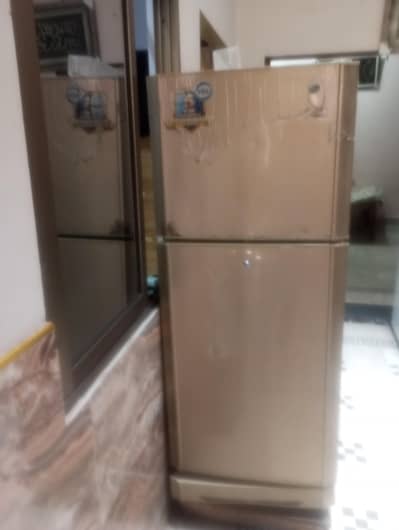 medium size fridge