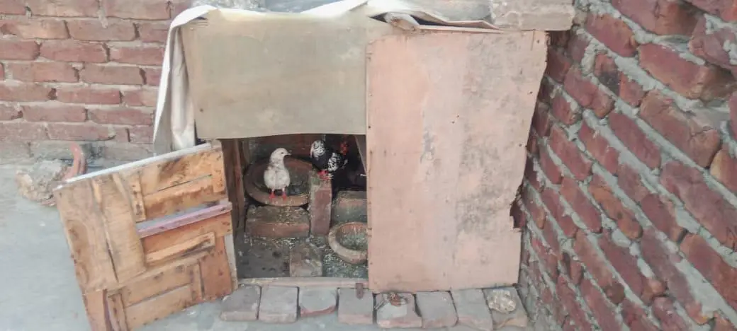 max tatal 3 Joray ha — photo 2