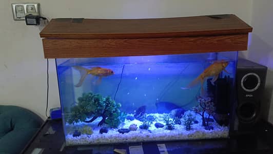 aquarium
