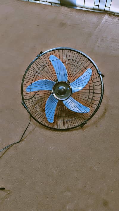 New Fan