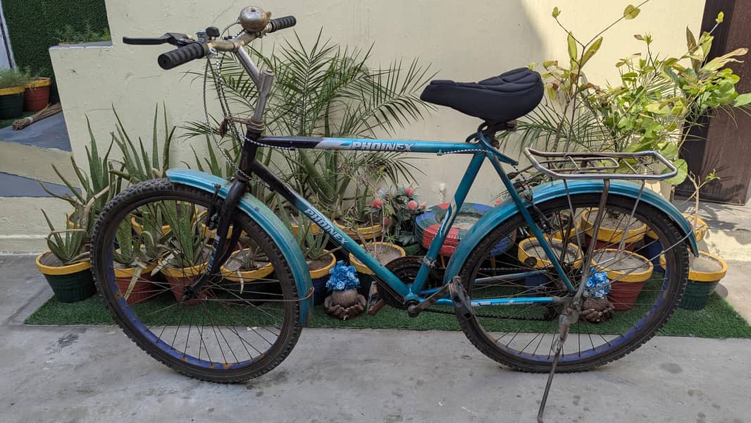 Phoenix Bicycle 0