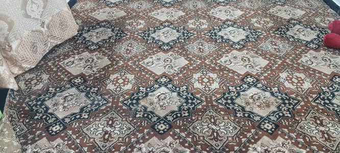 havy carpet