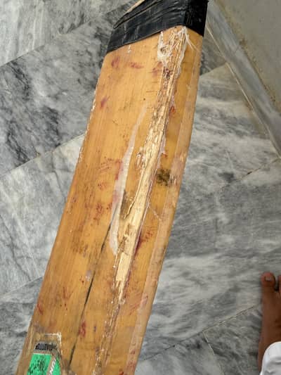 High-quality Kashmir Willow Bat