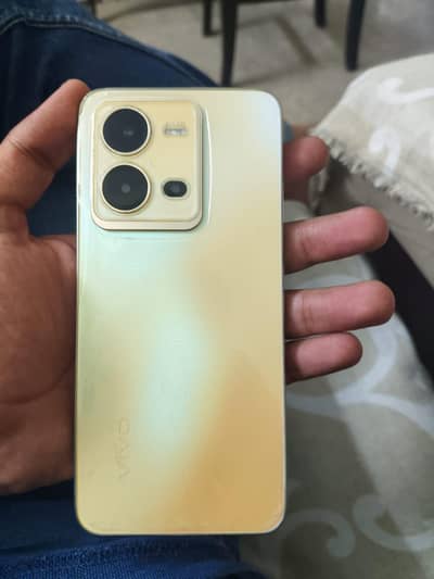 Vivo V25e