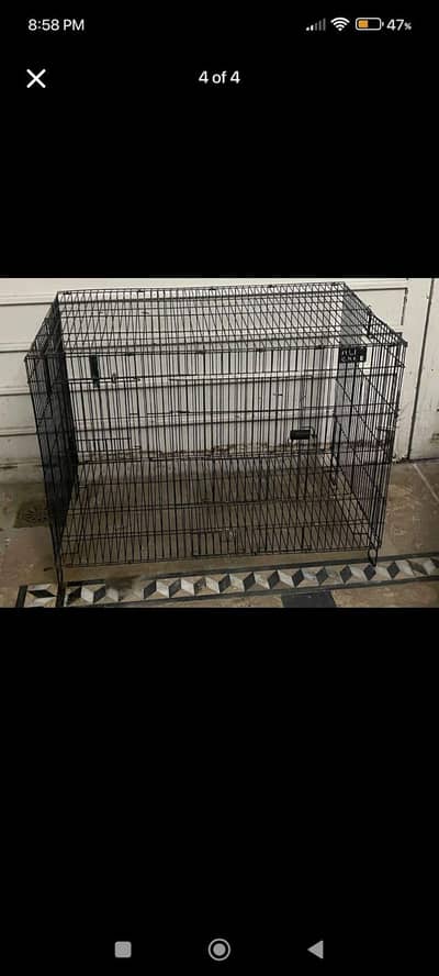 parrots cage for urgent sale