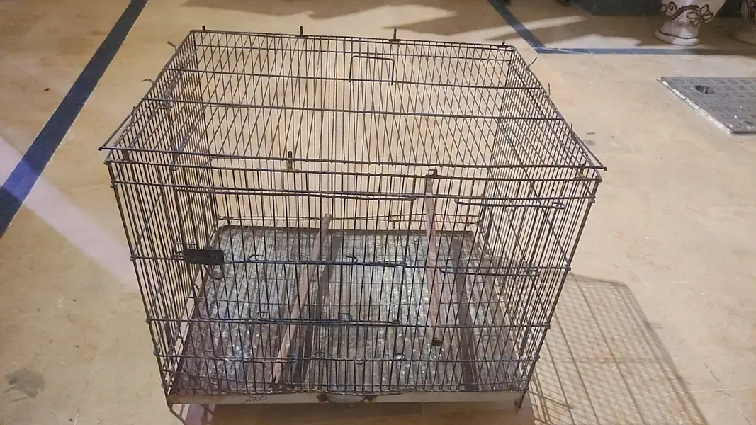 parrots cage for urgent sale — photo 3