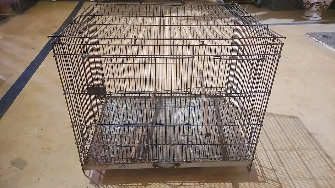 parrots cage for urgent sale — photo 4