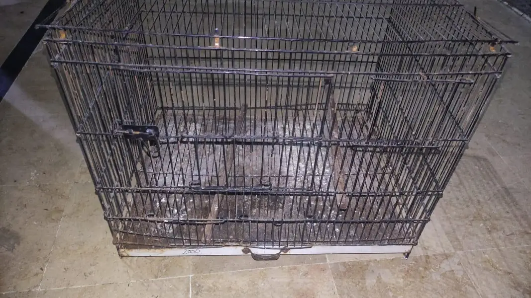 parrots cage for urgent sale — photo 5