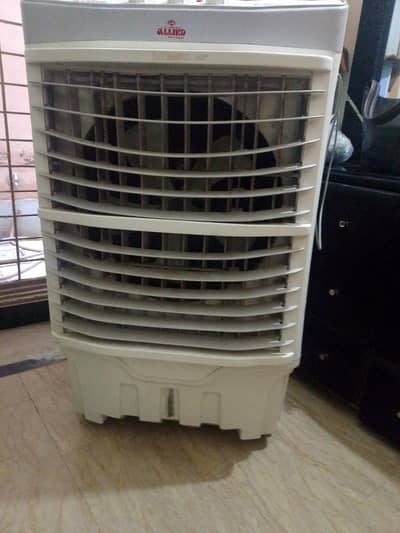 Jumbo air cooler