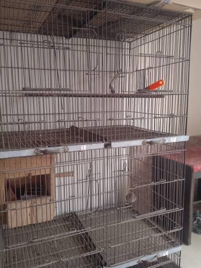 4 steps 8 portions cage and small cages  for sale+923267409123