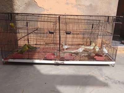 New and there use cages  for sale+923267409123