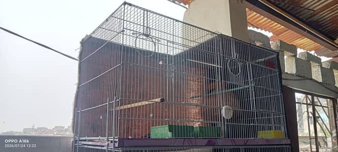 hogoromo or cage