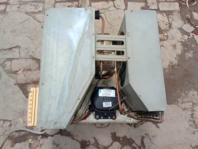 AGNUS General Ac 1. ton