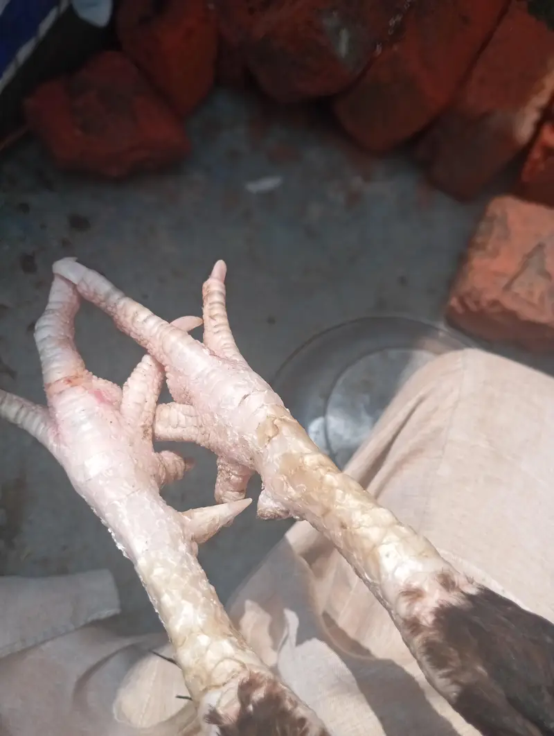 11000 Kam ho jay gi — photo 11