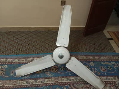 GFC 99.99 percent copper ceiling fan