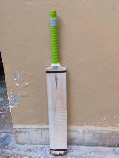 cricket bat