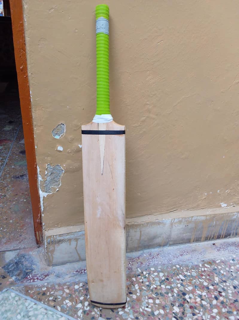 cricket bat 1