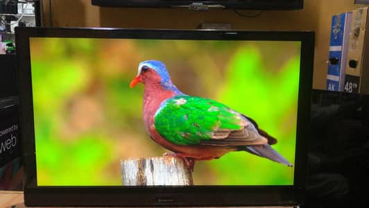 24 smart WiFi LED TV
